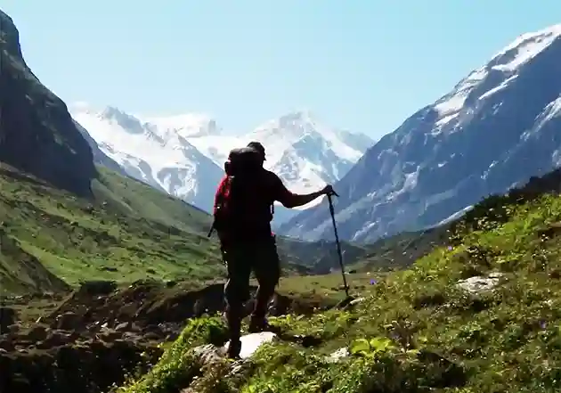 Singalila phoktey dara and Phalut trek is best winter trek in India.